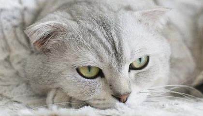 开云体育下载-过来人？球爹告诫儿子：NBA球员永远不会遇到好姑娘